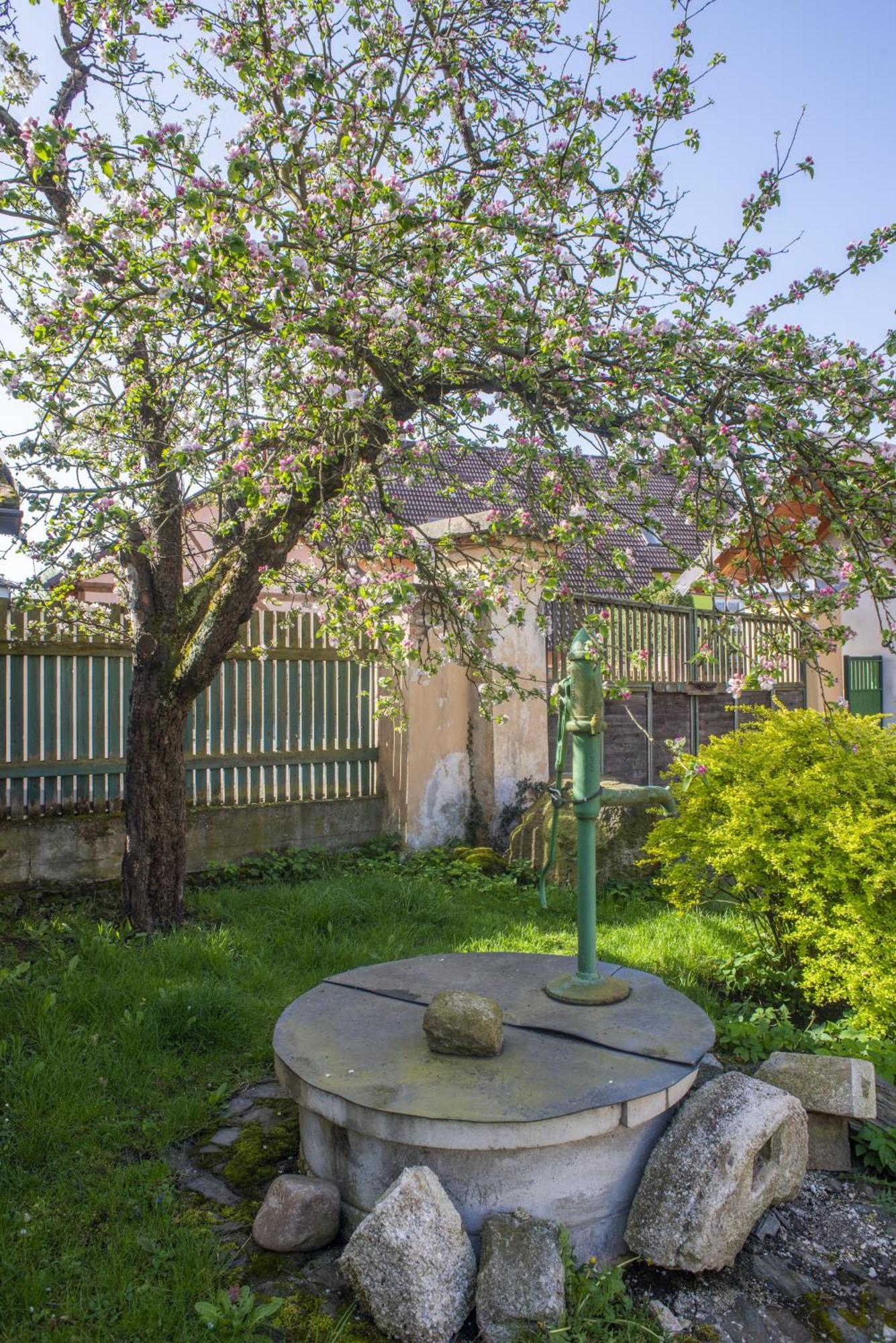 Ferienwohnung Mlyn-Osvracin Exterior foto