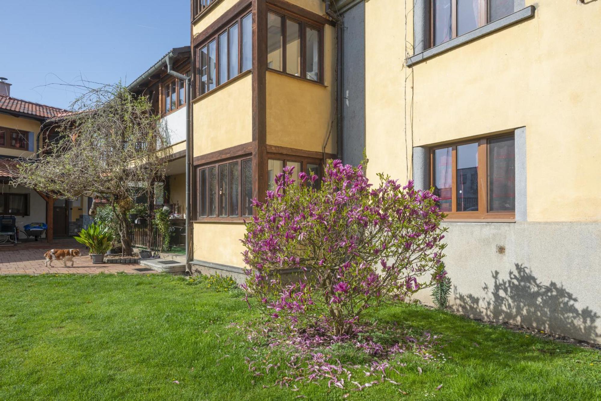 Ferienwohnung Mlyn-Osvracin Exterior foto
