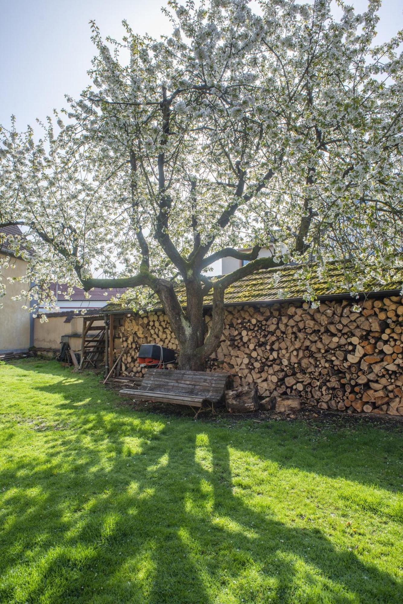 Ferienwohnung Mlyn-Osvracin Exterior foto