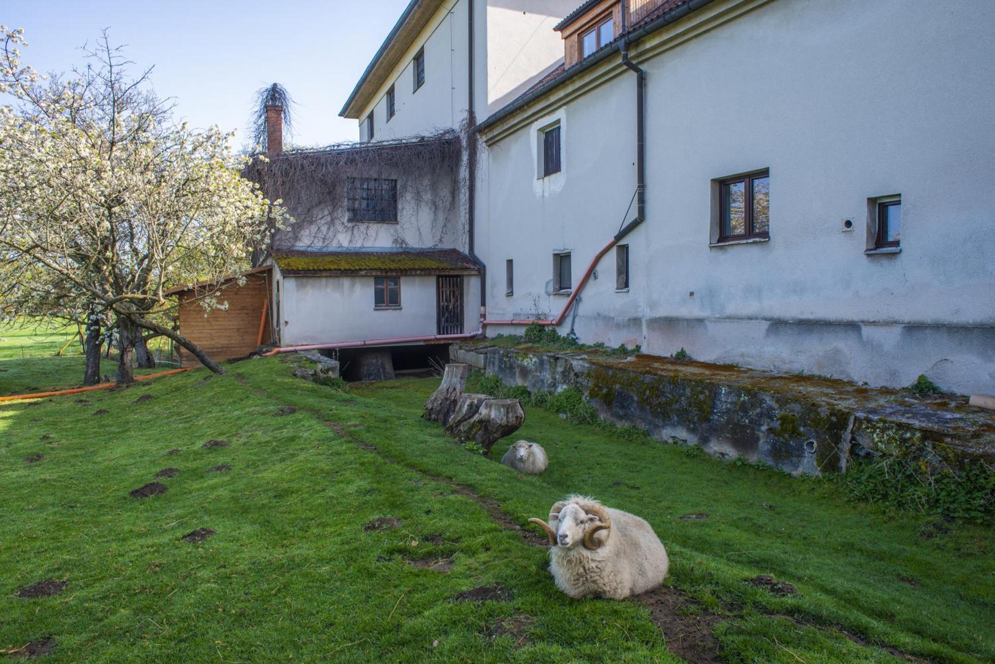 Ferienwohnung Mlyn-Osvracin Exterior foto